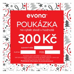 Vánoční elektronická poukázka - POUKÁZKA VÁNOČNÍ ELEKTRONICKÁ 1000