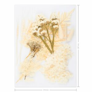 Sušené květiny nelisované bílé A4 - 1 ks