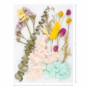 Sušené květiny nelisované barevné A4 - 1 ks