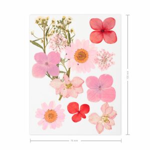 Lisované sušené květiny růžové A7 - 3 ks