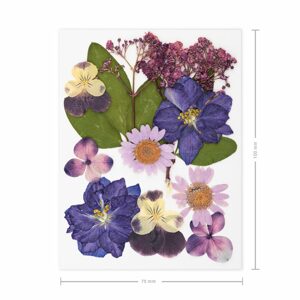 Lisované sušené květiny fialové A7 - 3 ks
