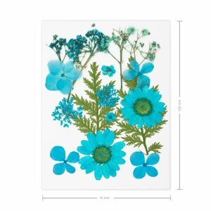 Lisované sušené květiny modré A7 - 3 ks