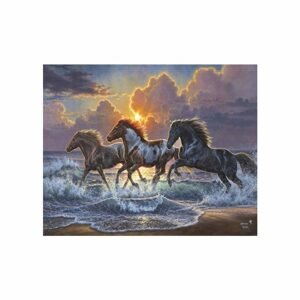 Malování podle čísel koně na pobřeží 40x50cm - 1 ks