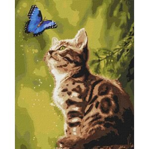 Ideyka Malování podle čísel obraz kotě s motýlem 40x50cm - 1 ks